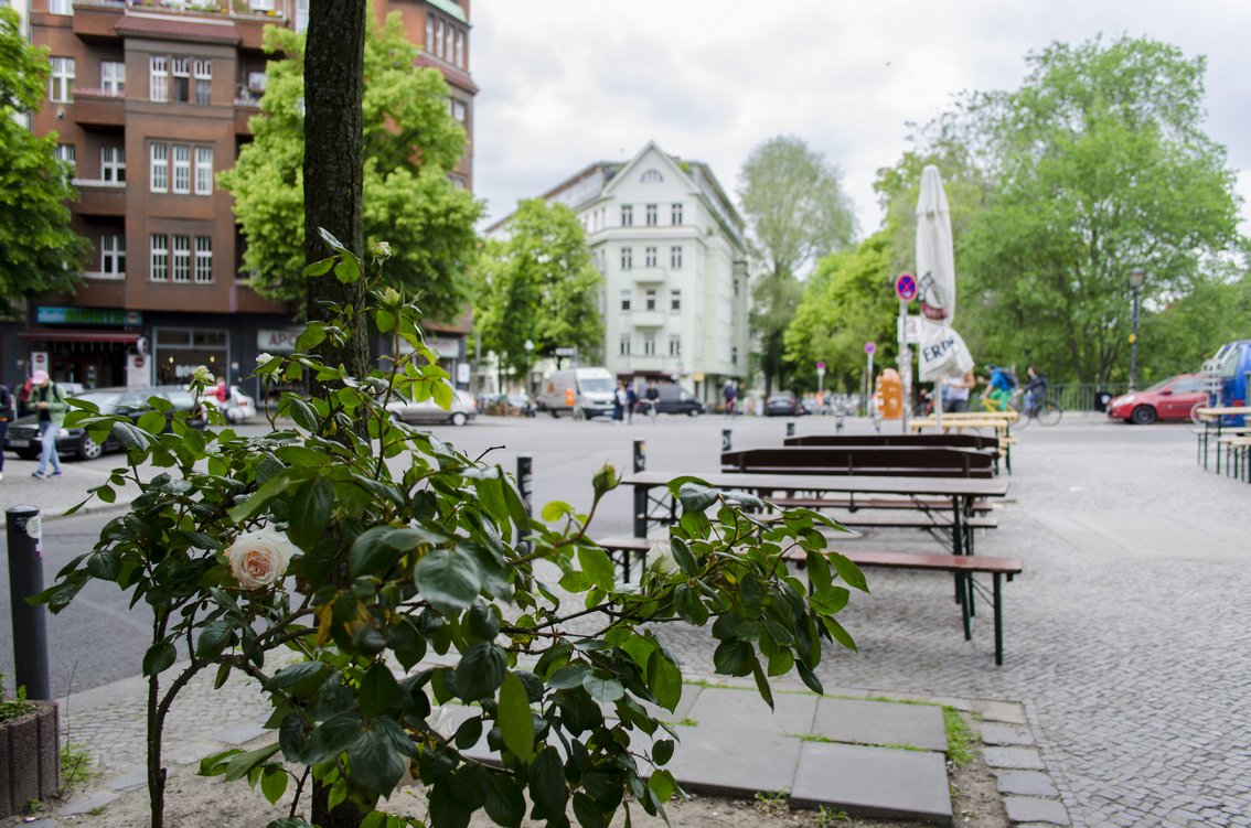 Neuwald-Idylle, Wettbwerbsbeitrag 2019