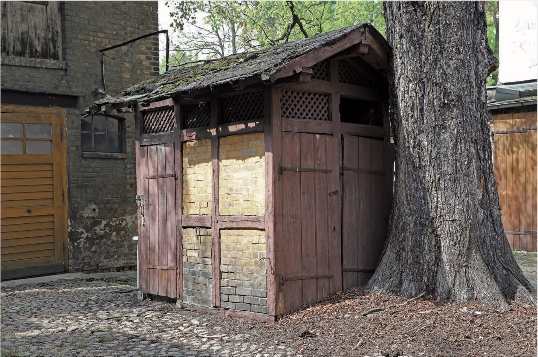 Auf einem gepflasterten Hof steht ein baufälliges Häuschen mit Fachwerk und Holztüren dicht an einem dicken Baumstamm