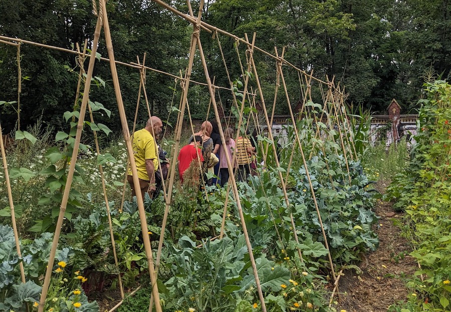 Garten mit Rankhilfen, durch den eine Gruppe von Menschen geht