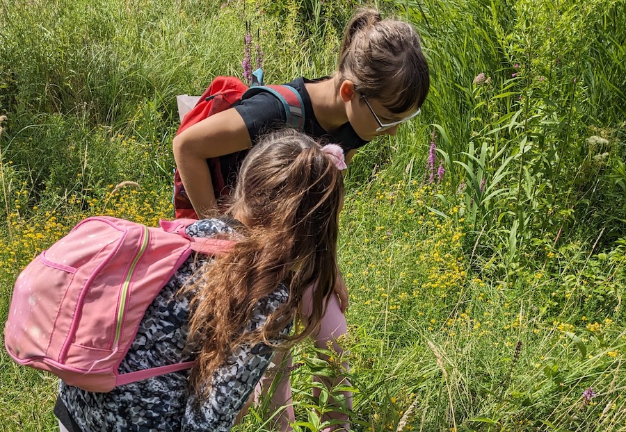 2 Kinder erkunden eine Wildblumenwiese